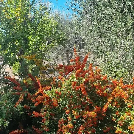 Trullo I Melograni