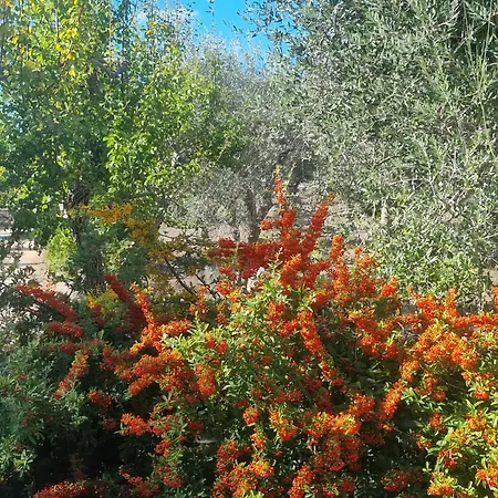 Trullo I Melograni Vila